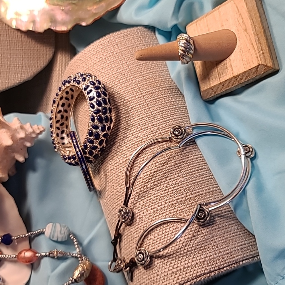 Incredible 18-item Lucky, Robert Lee Morris, INC, Chico's, & more Designer Set! - Picture 3 of 14